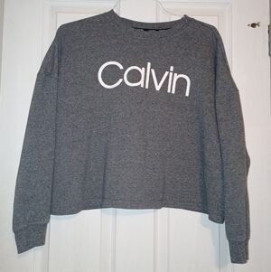 Calvin Klein Women's Gray Cropped Crewneck Size Large